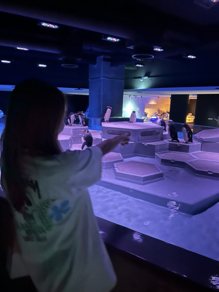 A close-up view of a vibrant green aquatic plant tank with small fish swimming, viewed from a very close distance.